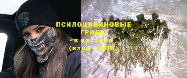 сатива Абдулино