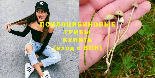 прущая мука Пролетарск