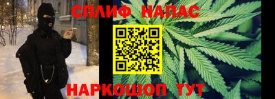 прущие грибы Кунгур