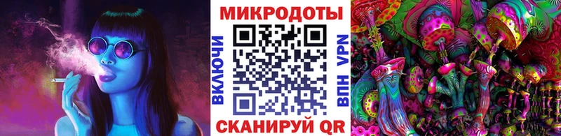 Псилоцибиновые грибы Cubensis купить наркотики сайты Камень-на-Оби