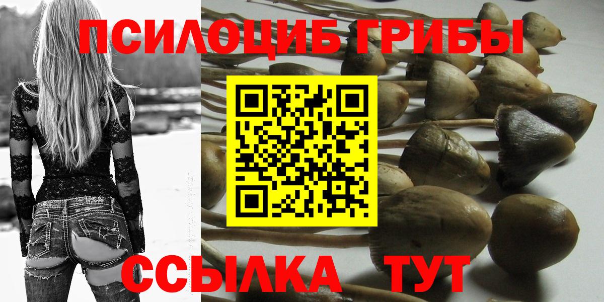 Псилоцибиновые грибы прущие грибы Камень-на-Оби