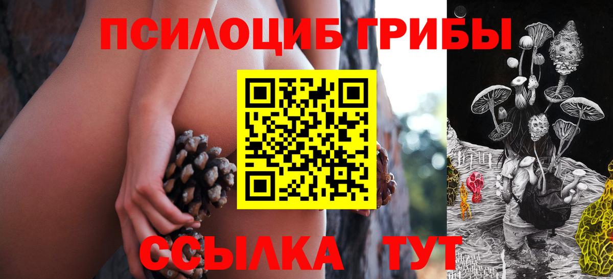 Камень-на-Оби  Галлюциногенные грибы прущие грибы  Вход с VPN 